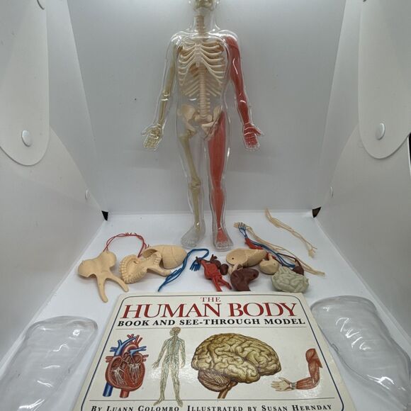 Vintage The Human Body Book And See-Through Model- Human Skeleton Kit - Picture 1 of 11